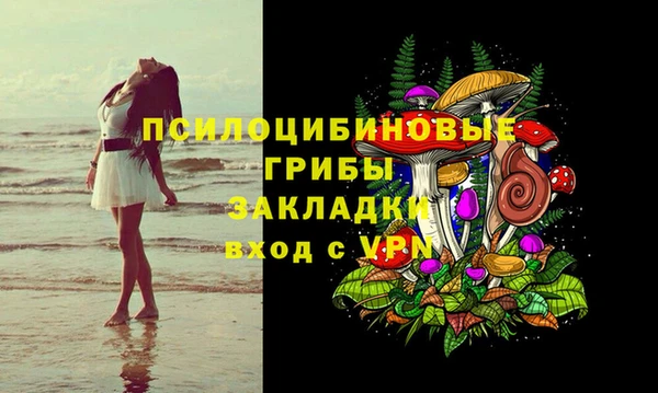меф Арсеньев