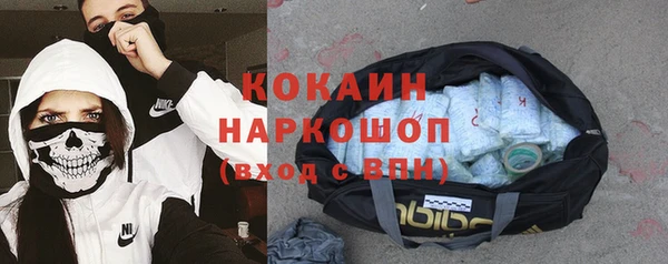 сатива Армянск