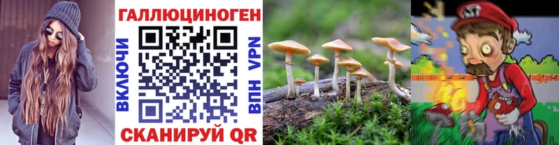 Галлюциногенные грибы Magic Shrooms  Кирово-Чепецк 